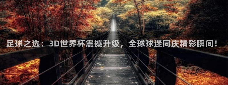 2026世界杯亚洲预选赛:足球之选:3D世界杯震撼升级,全球球迷同庆精彩瞬间!