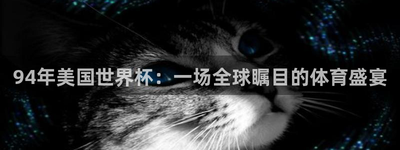 世界杯球队排名:94年美国世界杯:一场全球瞩目的体育盛宴