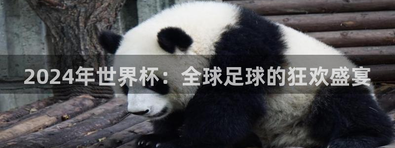 世界杯官网入口:2024年世界杯:全球足球的狂欢盛宴