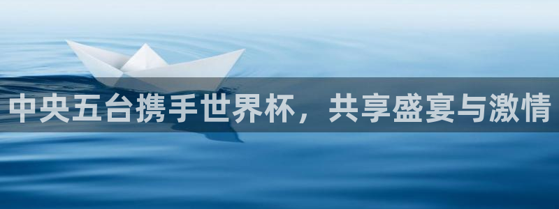 世界杯足球比赛:中央五台携手世界杯,共享盛宴与激情