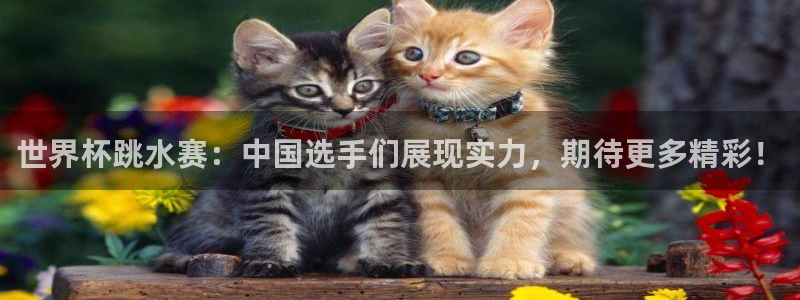 2006年世界杯:世界杯跳水赛:中国选手们展现实力,期待更多精彩!